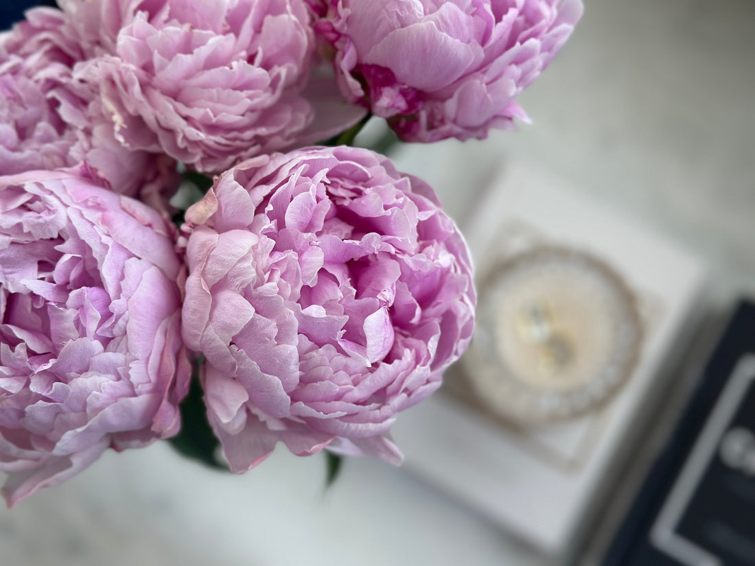 Why I Created The Luxe Within Workshop: From Misalignment to God-Aligned Purpose